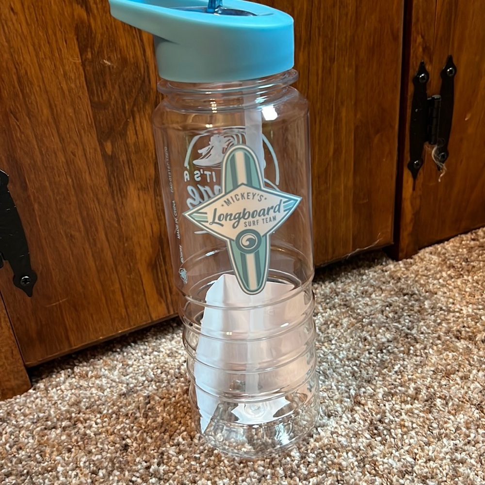 Disney water bottle
